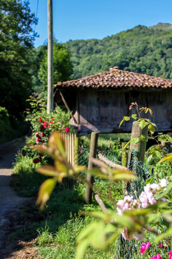 Вілла Casa Clarita Cano Екстер'єр фото