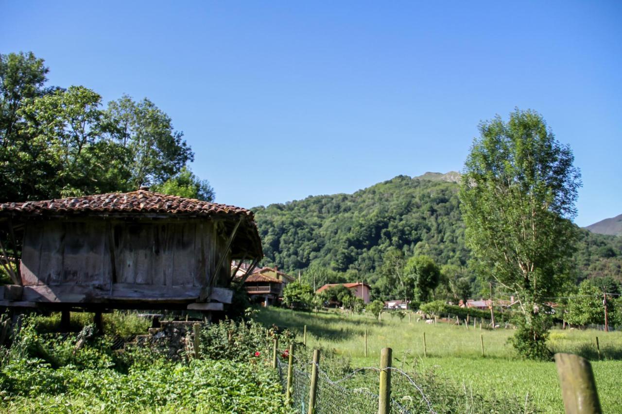 Вілла Casa Clarita Cano Екстер'єр фото